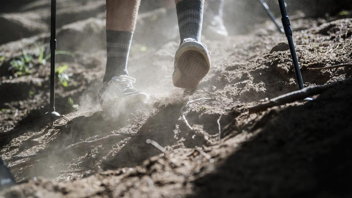 Claves para un Track Walk Ganador